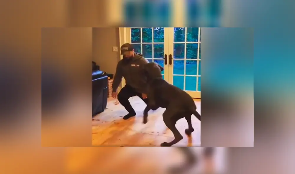 Desliza para ver lo momentos para emotivos del tierno video que se hizo viral en Facebook. Desliza para ver lo momentos para emotivos del tierno video que se hizo viral en Facebook.