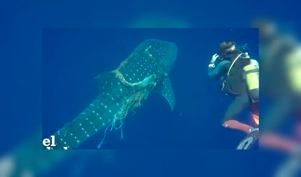 Desliza hacia la izquierda para ver el conmovedor rescate del video viral de Facebook.