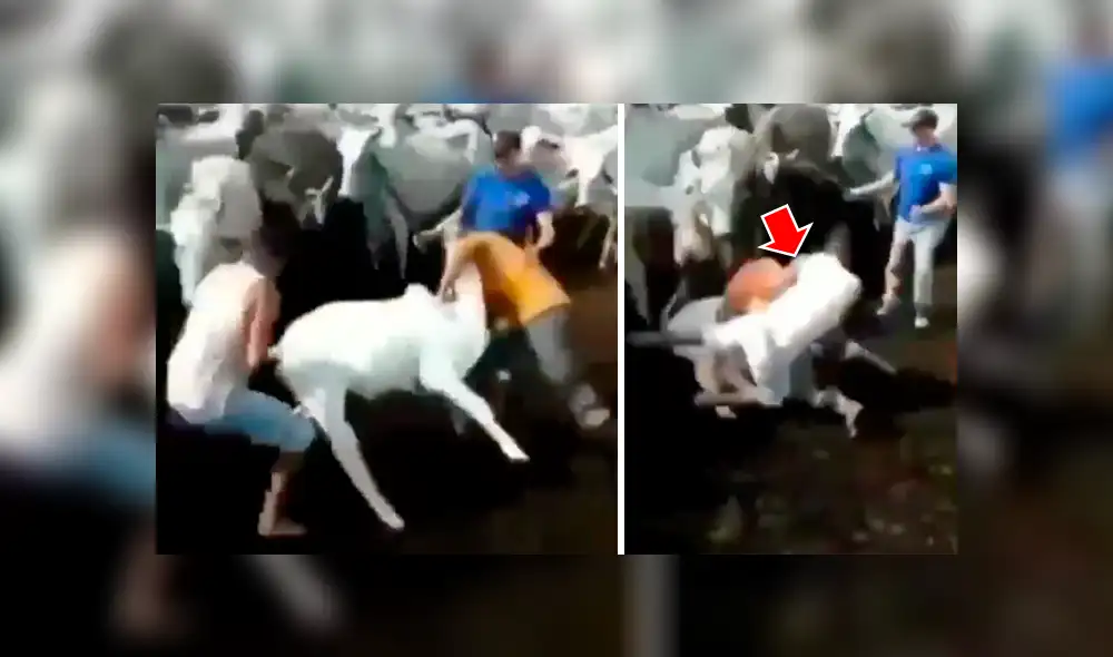 Facebook viral: Granjero usa ‘llave’ para derrotar a chivo, pero amigo lo venga y sucede lo peor [VIDEO] 