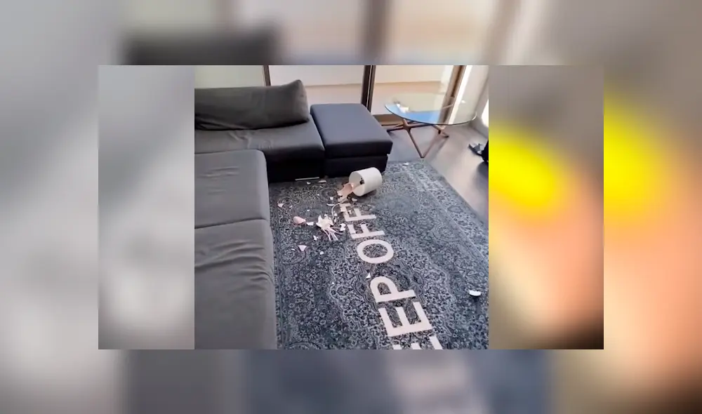 Video es viral en YouTube. El can no soportó que su dueño le tirara lejos su juguete, y cobró venganza con uno de sus preciados objetos de casa Video es viral en YouTube. El can no soportó que su dueño le tirara lejos su juguete, y cobró venganza con uno de sus preciados objetos de casa