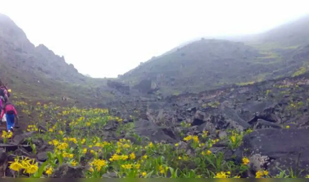 Un paraíso en el distrito de Villa María de Triunfo Un paraíso en el distrito de Villa María de Triunfo