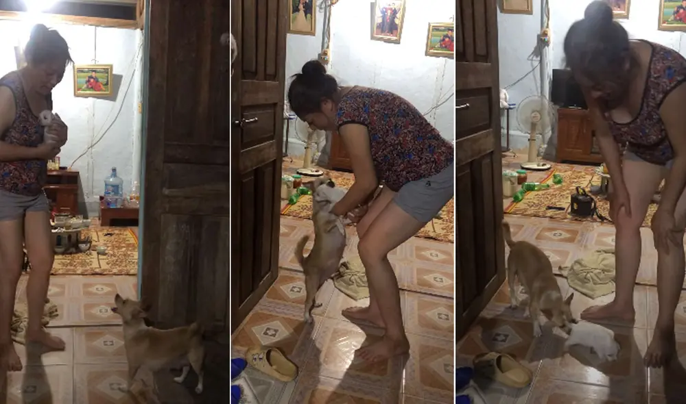 El comportamiento de la perrita conmovió a más de uno en las redes sociales. Foto: captura de YouTube