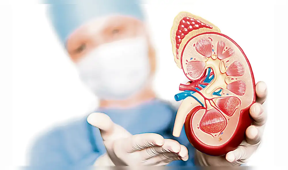 Obesidad provocaría enfermedad renal crónica