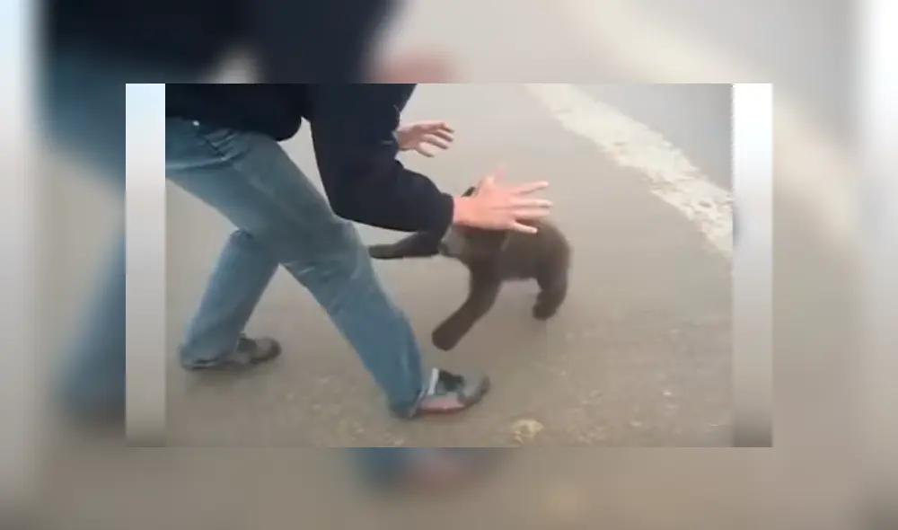Video es viral en Facebook. El pequeño animal se aferró a la pierna del hombre que lo rescató y protagonizó una conmovedora escena Video es viral en Facebook. El pequeño animal se aferró a la pierna del hombre que lo rescató y protagonizó una conmovedora escena
