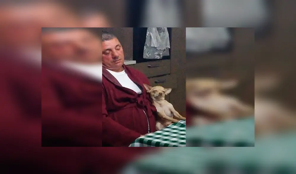 En Facebook, un padre fue descubierto en emotiva escena junto a un perro tras mostrar su rechazo por querer una mascota. En Facebook, un padre fue descubierto en emotiva escena junto a un perro tras mostrar su rechazo por querer una mascota.