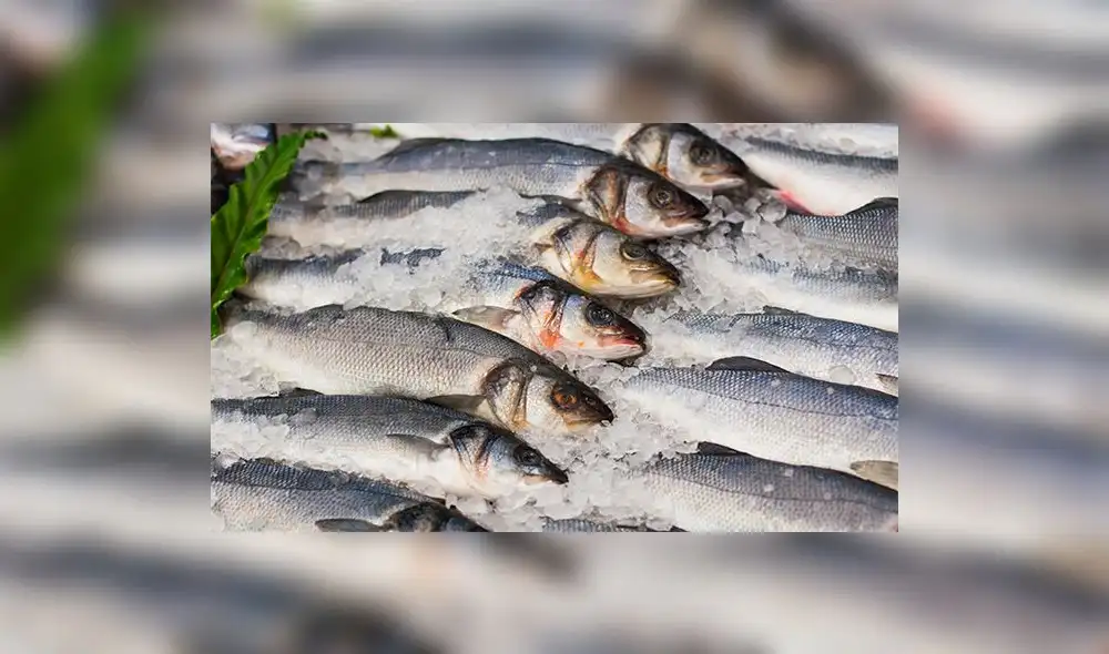 El pescado peruano es uno de los alimentos más productivos