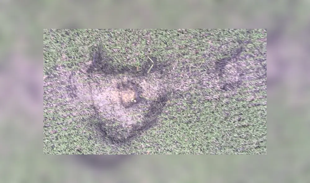 El Estadio Lolo Fernández está en malas condiciones y el equipo femenino de Universitario de Deportes se ve afectado.