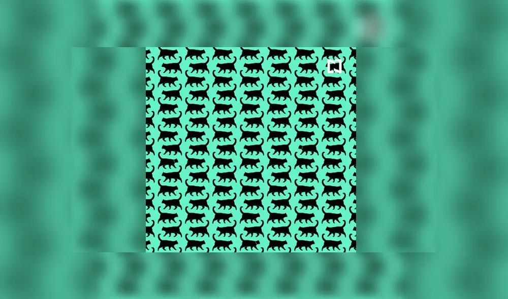 Desliza las imágenes para ver la respuesta de este complejo reto visual de Facebook. Foto: Televisa Desliza las imágenes para ver la respuesta de este complejo reto visual de Facebook. Foto: Televisa