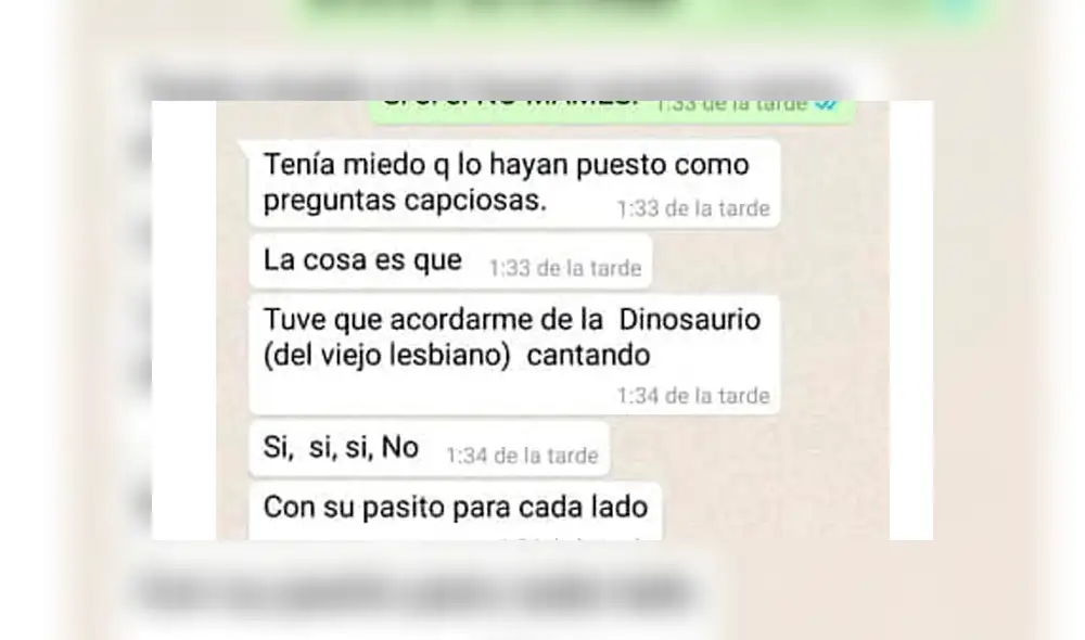 WhatsApp: peruana reveló que gracias al remix 'Cállese viejo lesbiano' supo cómo votar en el referéndum [FOTOS]