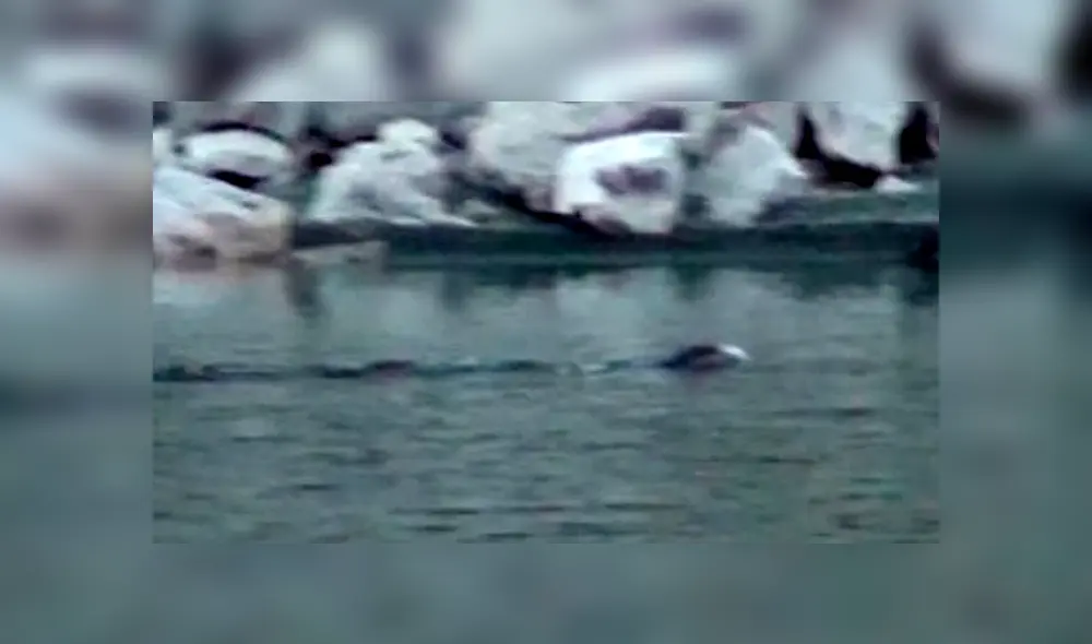 YouTube: ¿Captan dinosaurio con vida en Estados Unidos? Su aspecto sorprende a todos