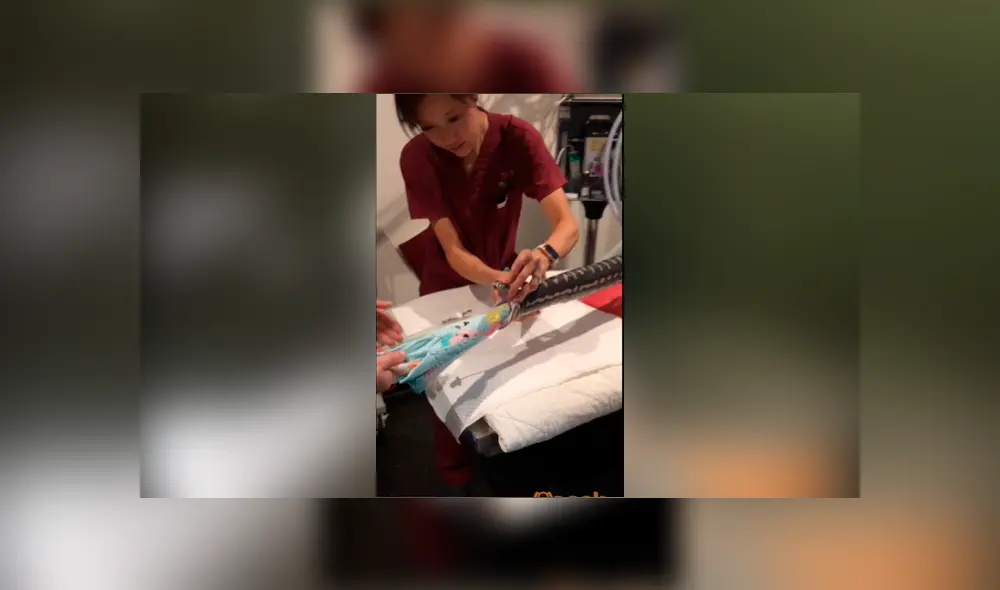 Desliza las fotografías para ver el increíble rescate que se hizo de esta enorme pitón que se tragó una toalla de playa. Foto: captura/SASH Desliza las fotografías para ver el increíble rescate que se hizo de esta enorme pitón que se tragó una toalla de playa. Foto: captura/SASH