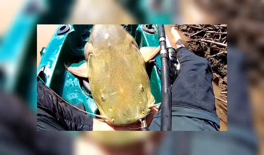 Un hombre de Brasil atrapó a extraño pez que ha sorprendido a miles en YouTube.