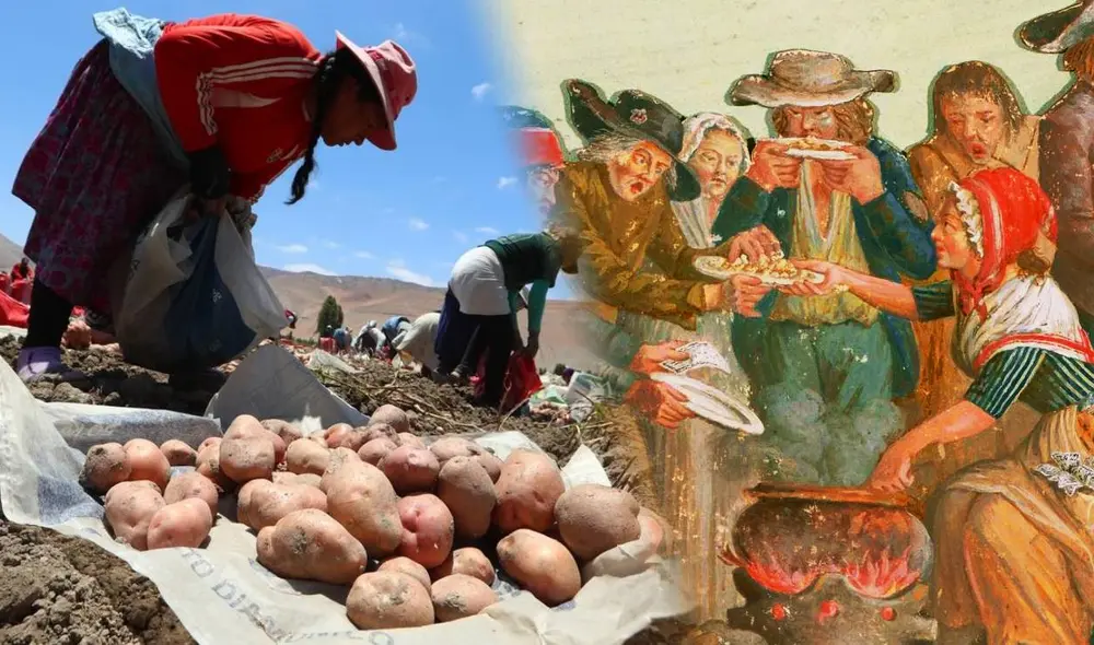 La papá se convirtió en el salvoconducto de sociedades que habían sido atestadas por el hambre durante siglos en Europa. Foto: Composición LR/lanoticia.com.pe/Financial Times La papá se convirtió en el salvoconducto de sociedades que habían sido atestadas por el hambre durante siglos en Europa. Foto: Composición LR/lanoticia.com.pe/Financial Times