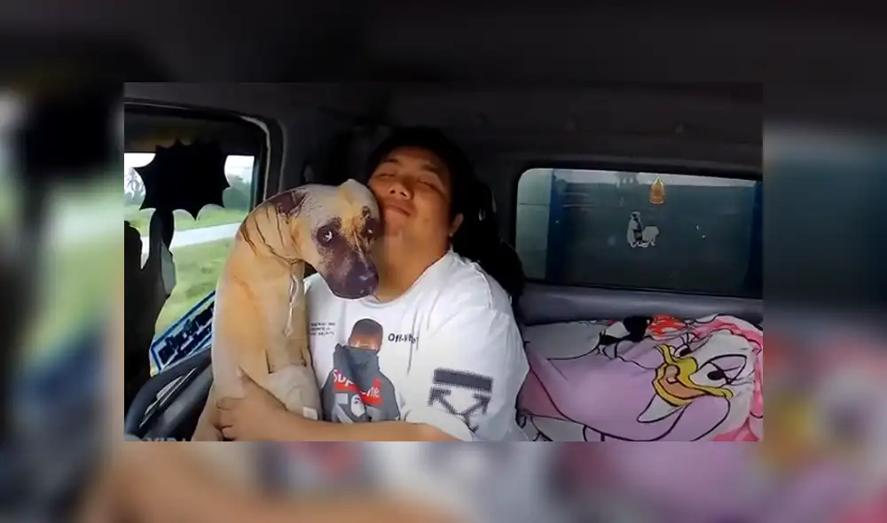 Desliza hacia la izquierda para ver las imágenes del viral de Facebook. Foto: Captura.