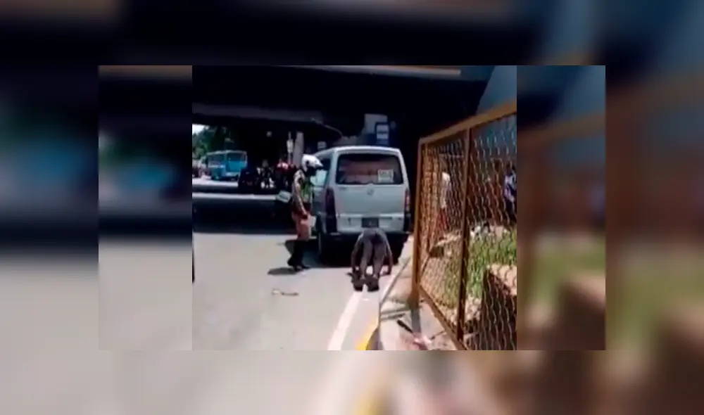 Desliza las imágenes para apreciar el castigo que recibió un imprudente conductor por parte de un policía peruano. Desliza las imágenes para apreciar el castigo que recibió un imprudente conductor por parte de un policía peruano.