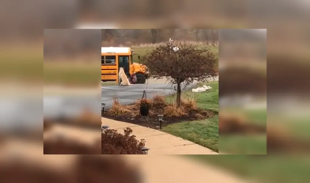 Familiar de las pequeñas captó la peculiar escena desde su casa y compartió las imágenes en YouTube y otras redes sociales Familiar de las pequeñas captó la peculiar escena desde su casa y compartió las imágenes en YouTube y otras redes sociales