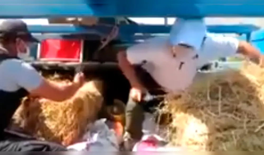 Pasajeros viajaban ocultos en camión hacia Cajamarca.