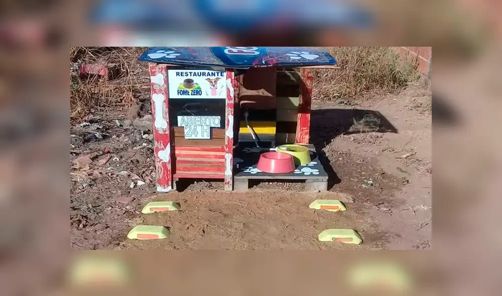 Vía Facebook: este es el primer 'restautant canino' para que Firulais tenga una cita romántica [FOTOS]