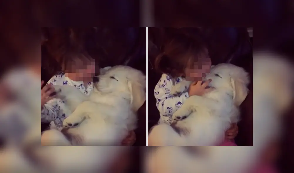 Desliza las imágenes para apreciar la amorosa escena que protagonizaron un perro junto a un pequeña. Desliza las imágenes para apreciar la amorosa escena que protagonizaron un perro junto a un pequeña.