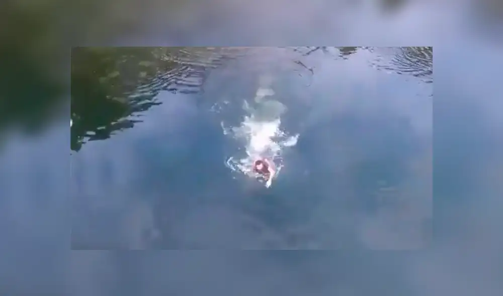 Un video viral muestra como un joven hizo hasta lo imposible para salvar su dron nuevo de un trágico final. Un video viral muestra como un joven hizo hasta lo imposible para salvar su dron nuevo de un trágico final.