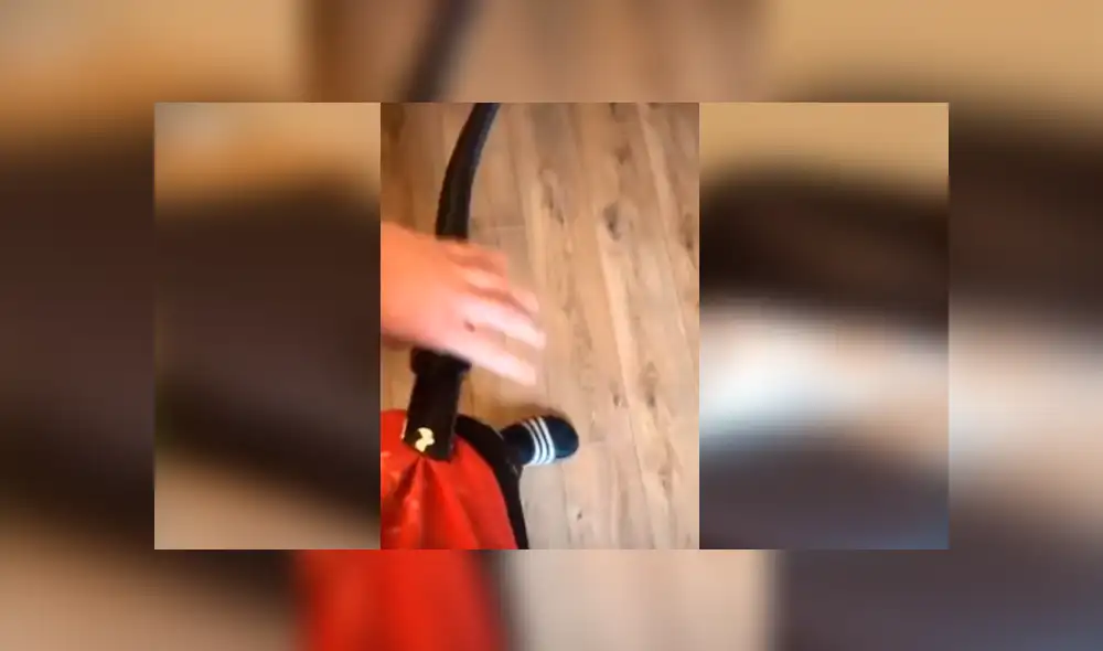 Astuto perro se percató de que su dueño estaba en problemas y corrió hasta él para ayudarlo con un singular comportamiento. La escena se ha hecho viral en YouTube