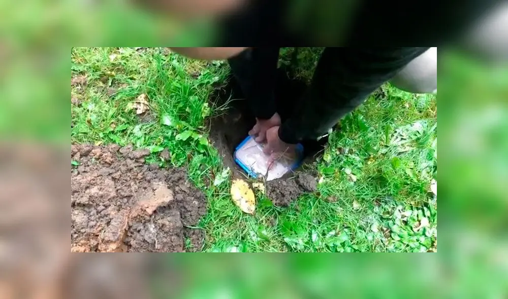 Con la ayuda de su mejor amigo, Matt Nadinn ocultó la comida en su jardin. Foto: Noticias Carters.