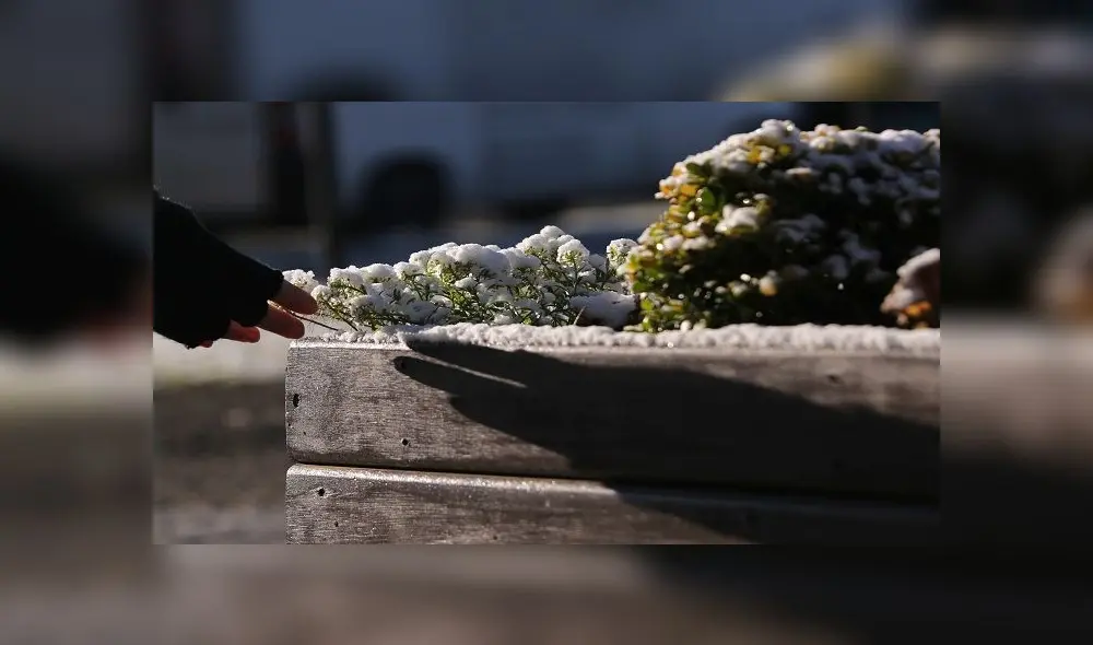 BRA01. BOM JARDIM (BRASIL), 21/08/2020 - Vista de un mirador con nieve este viernes en la Serra do Rio do Rastro en Santa Catarina (Brasil). El sureño estado de Santa Catarina, en la región Sur de Brasil y fronterizo con Argentina, amaneció este viernes con temperaturas por debajo de los -8°C, con árboles congelados y expectativa de nieve para las próximas horas. EFE/Guilherme Hahn BRA01. BOM JARDIM (BRASIL), 21/08/2020 - Vista de un mirador con nieve este viernes en la Serra do Rio do Rastro en Santa Catarina (Brasil). El sureño estado de Santa Catarina, en la región Sur de Brasil y fronterizo con Argentina, amaneció este viernes con temperaturas por debajo de los -8°C, con árboles congelados y expectativa de nieve para las próximas horas. EFE/Guilherme Hahn