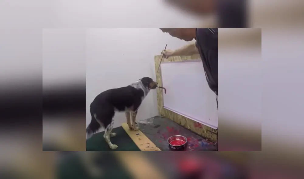 Desliza las imágenes hacia la izquierda para conocer la increíble habilidad de un perro que aprendió a dibujar. Foto: Captura. Desliza las imágenes hacia la izquierda para conocer la increíble habilidad de un perro que aprendió a dibujar. Foto: Captura.