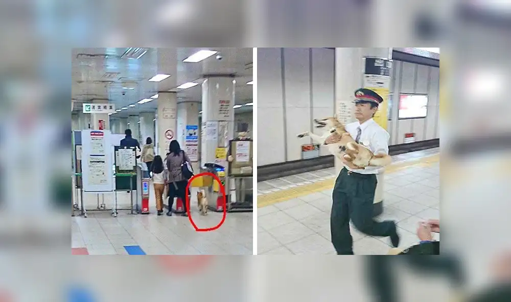En Facebook, un perro fue capturado por la policía para evitar que cometa travesuras dentro de una estación de tren. En Facebook, un perro fue capturado por la policía para evitar que cometa travesuras dentro de una estación de tren.