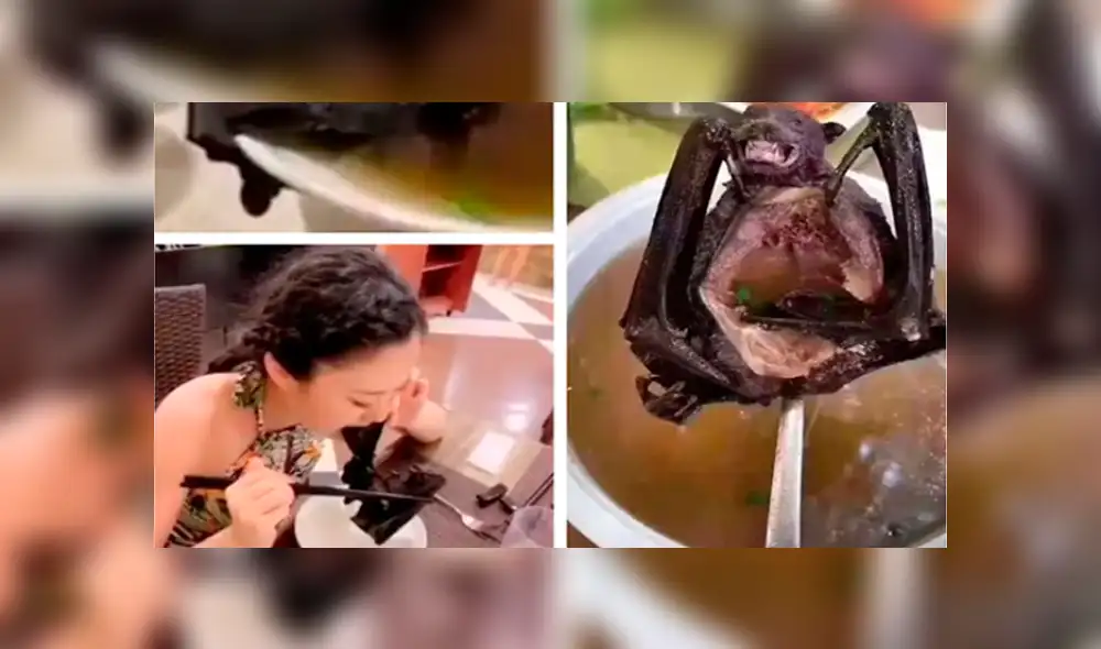 Sopa de murciélago coronavirus china Sopa de murciélago coronavirus china