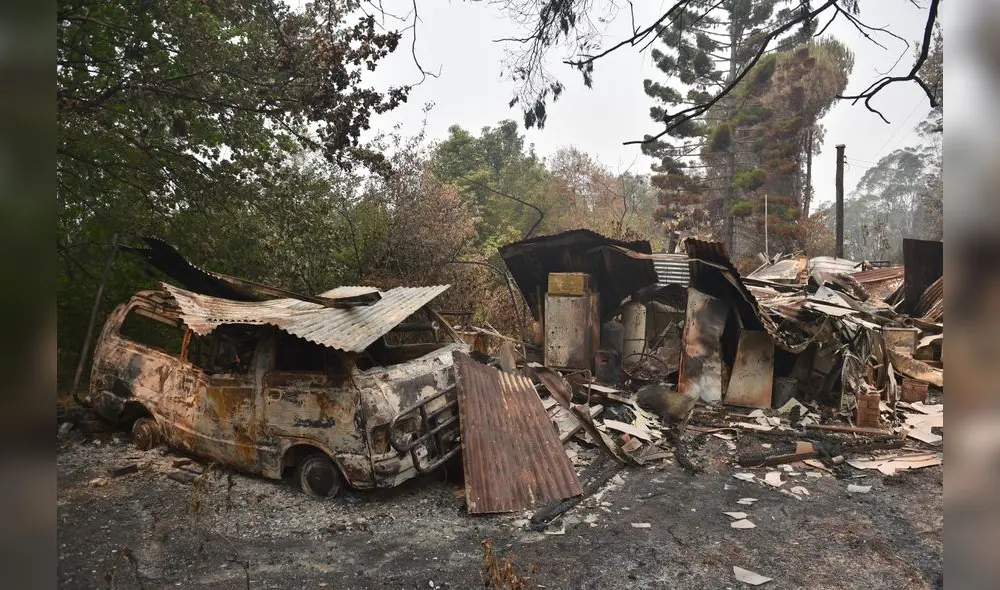 Bebé koala pesaba solo 275 gramos y había perdido la mayor parte de su pelaje. Foto: Difusión.