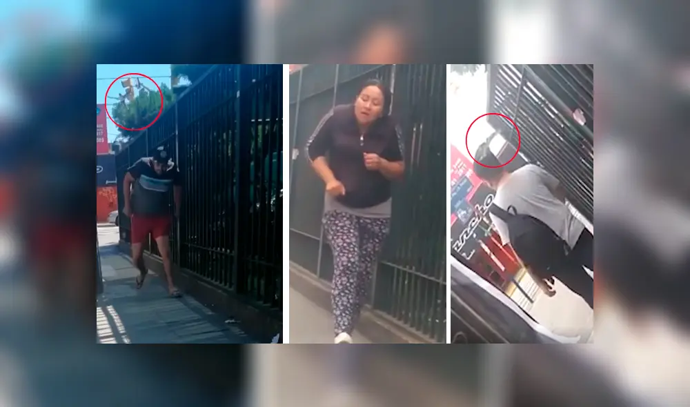 Video es viral en YouTube. Jóvenes captaron la extraña conducta del pájaro con todas las personas desprevenidas que pasaban por un campus universitario