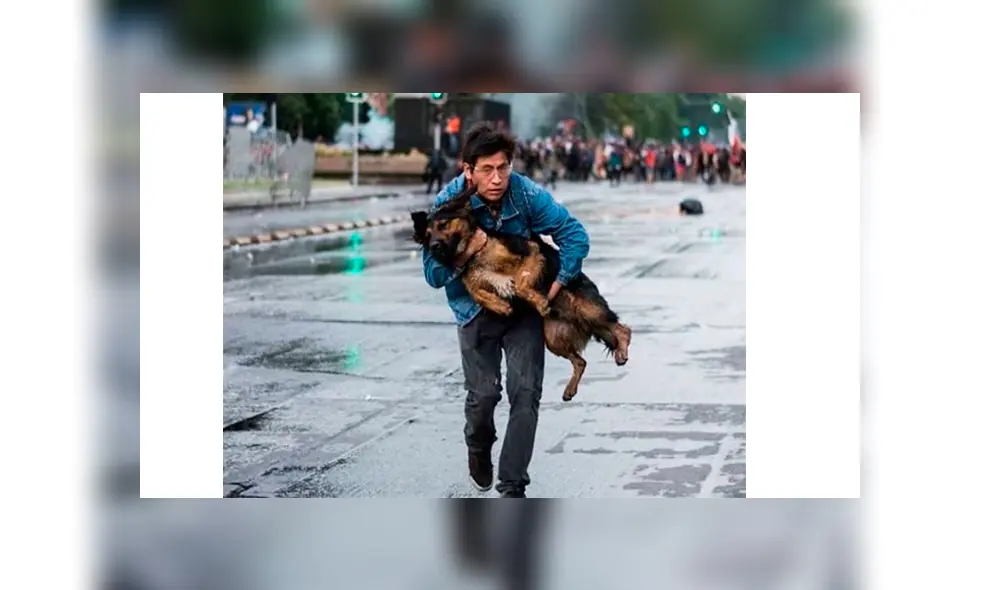 Joven es ovacionado en redes sociales tras rescatar a un perro en medio de protesta en Chile Joven es ovacionado en redes sociales tras rescatar a un perro en medio de protesta en Chile
