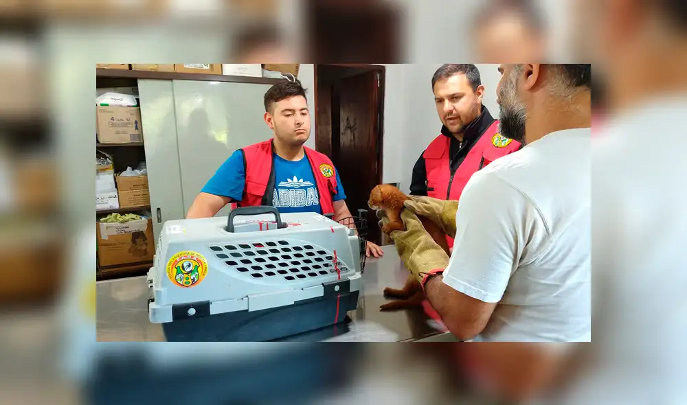 Desliza para ver las imágenes más tiernas de la historia que se hizo viral en Facebook. Desliza para ver las imágenes más tiernas de la historia que se hizo viral en Facebook.