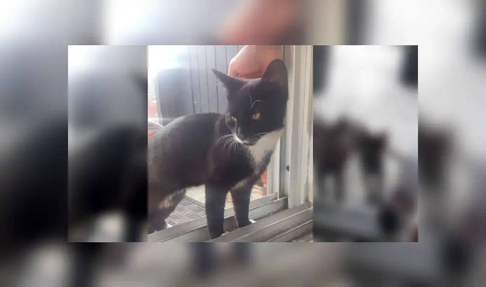 Desliza para ver los detalles de esta historia que se viralizó en Facebook. Foto: Captura. Desliza para ver los detalles de esta historia que se viralizó en Facebook. Foto: Captura.