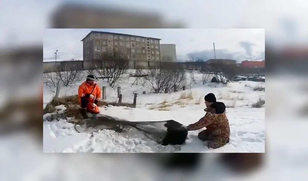 Desliza hacia la izquierda para ver más imágenes de esta historia que es viral en Facebook. Desliza hacia la izquierda para ver más imágenes de esta historia que es viral en Facebook.