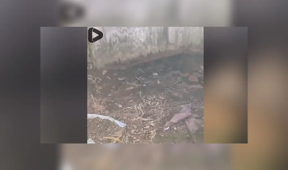 Desliza para ver los momentos más importantes de este aterrador video compartido en Facebook. Desliza para ver los momentos más importantes de este aterrador video compartido en Facebook.