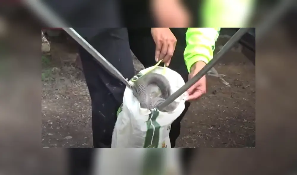 Desliza hacia la izquierda para ver las imágenes del viral de Facebook. Foto: Captura.