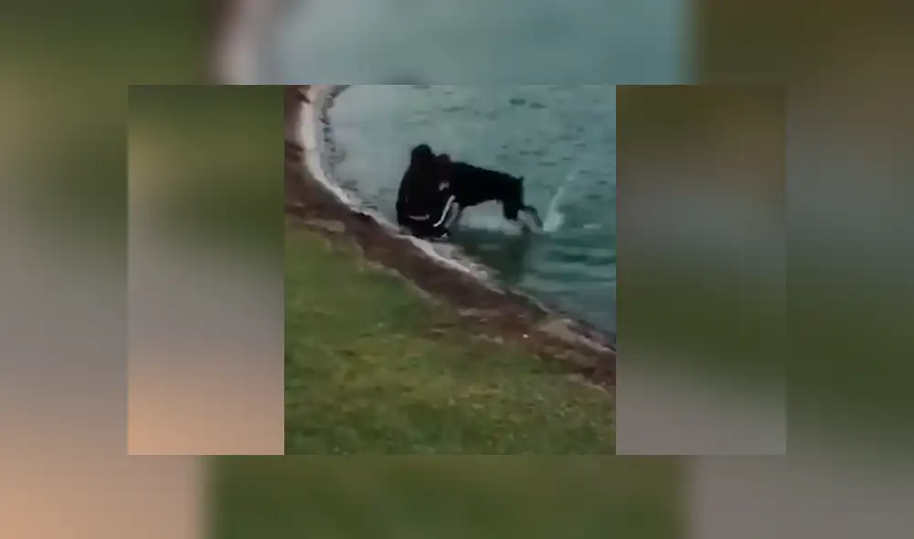 Desliza para ver los momentos más divertidos del video que se hizo viral en Facebook. Desliza para ver los momentos más divertidos del video que se hizo viral en Facebook.