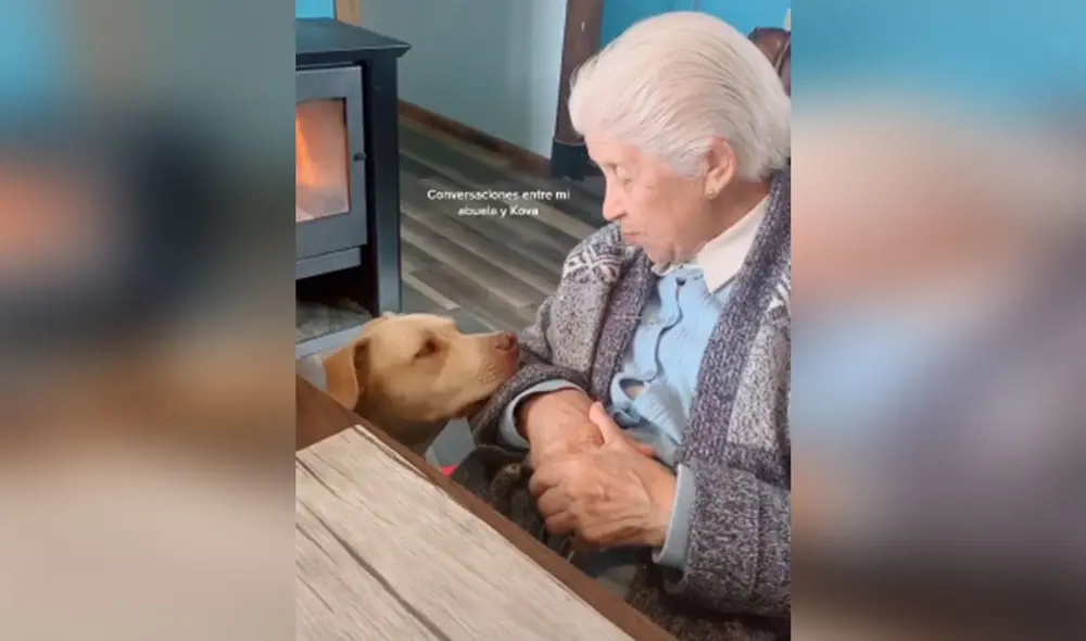 Desliza hacia la izquierda para ver más imágenes de esta conmovedora escena protagonizada por una anciana y su perro. (Foto: captura / TikTok)