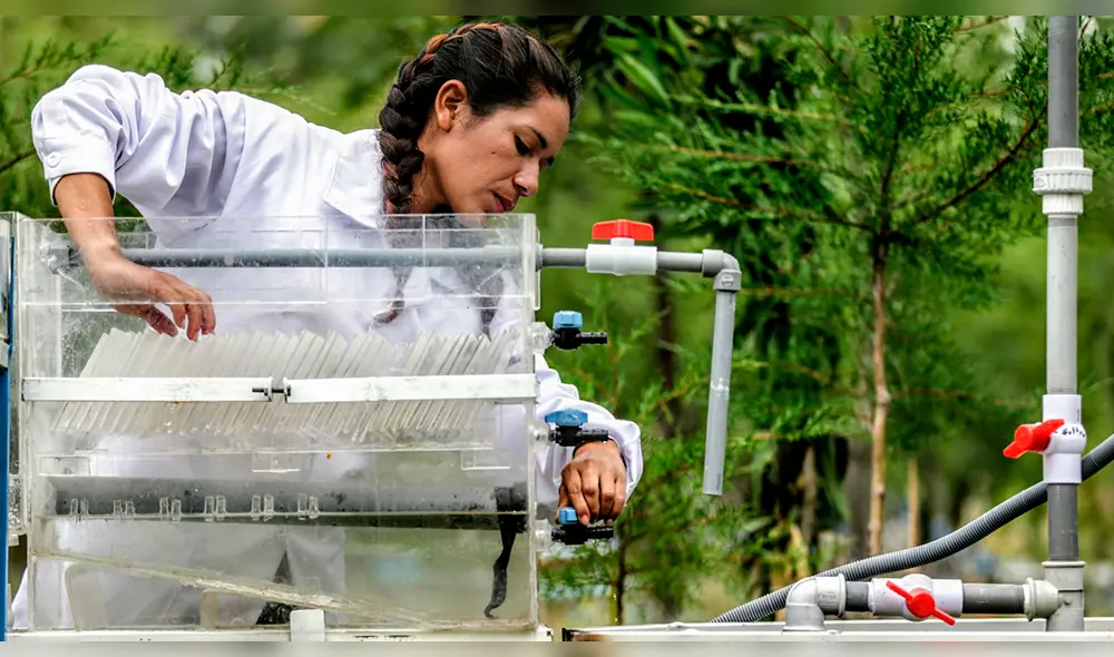 Ayacucho: ingeniera peruana inventa prototipo para purificar el agua 