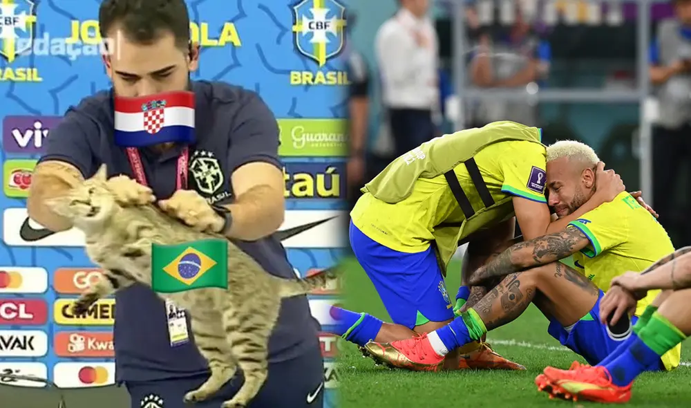 ¿Un gato tuvo que ver con la derrota de Brasil ante Croacia? Foto: Twitter/EFE ¿Un gato tuvo que ver con la derrota de Brasil ante Croacia? Foto: Twitter/EFE