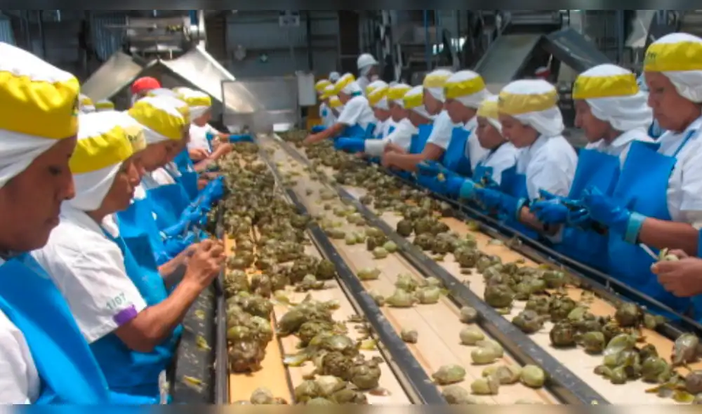 69% de beneficiarios en empleos temporales formales son mujeres 