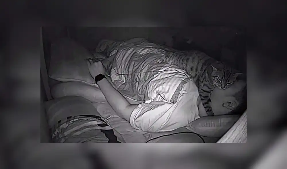 Facebook viral: gato aprovecha que su dueño duerme para expresar su amor por él [FOTOS]