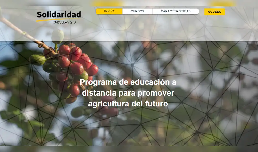 Lanzan clases online para el sector cafetero y cacaotero en temas de agricultura sostenible 