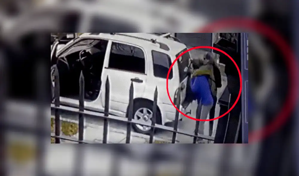 YouTube viral: Perros ven que su dueño es asaltado con pistola y lo rescatan valerosamente [VIDEO] 