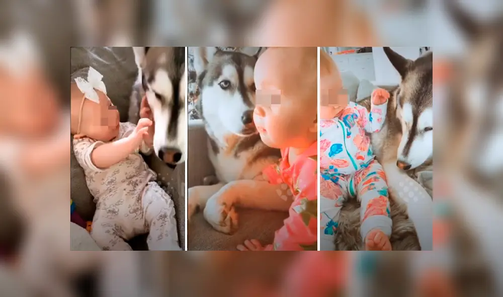 Desliza hacia la izquierda para ver el tierno momento de un perro y un bebé. Imágenes del viral de Facebook. Desliza hacia la izquierda para ver el tierno momento de un perro y un bebé. Imágenes del viral de Facebook.