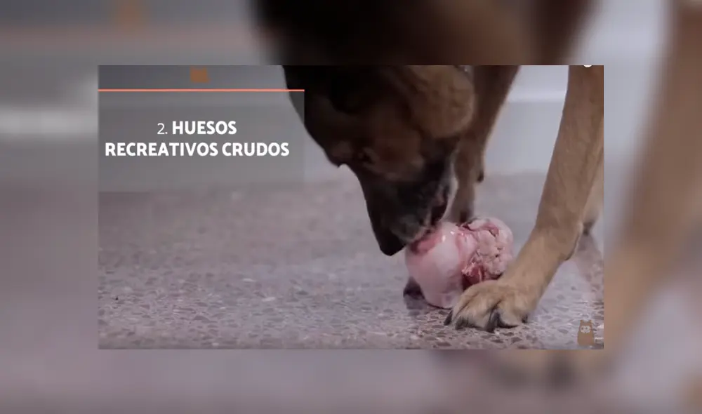 Desliza para ver los detalles de este video viral de YouTube. Foto: Captura.