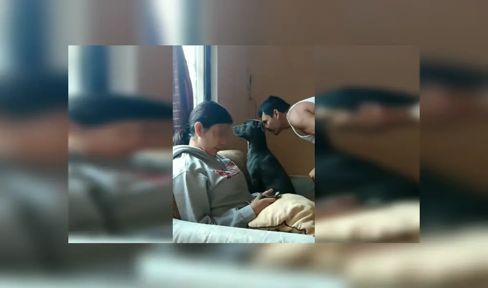 Desliza las imágenes para apreciar la tierna escena que registró una joven de su padre junto a su perro. Fotocaptura: TikTok.