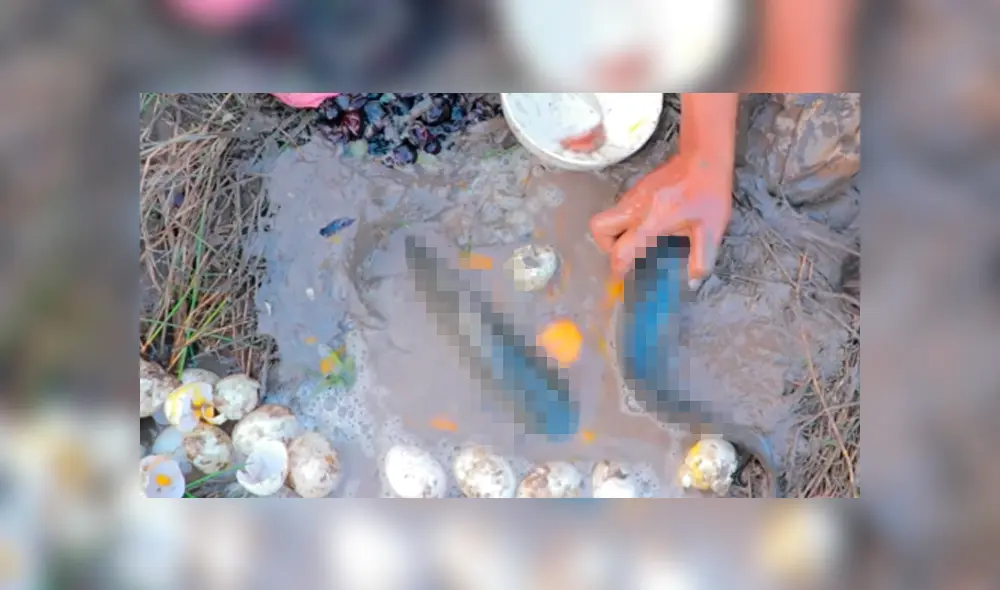 YouTube viral: arroja uvas y huevos en extraño agujero y en segundos aparecen extraños peces YouTube viral: arroja uvas y huevos en extraño agujero y en segundos aparecen extraños peces
